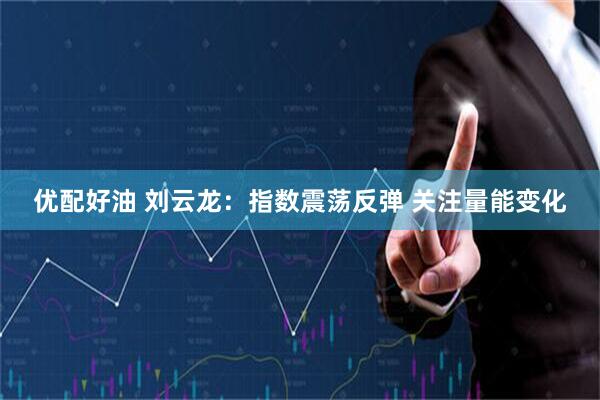 优配好油 刘云龙：指数震荡反弹 关注量能变化