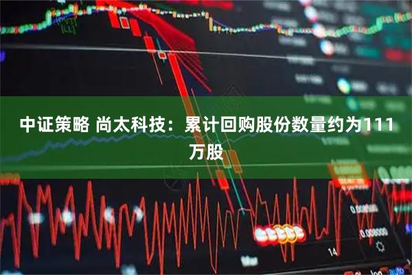 中证策略 尚太科技：累计回购股份数量约为111万股